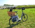 Fietsen rond den Helder  27 augustus 2017  06